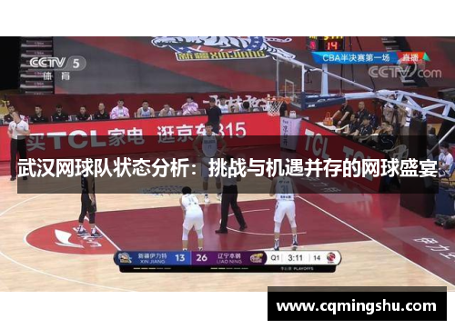 武汉网球队状态分析：挑战与机遇并存的网球盛宴