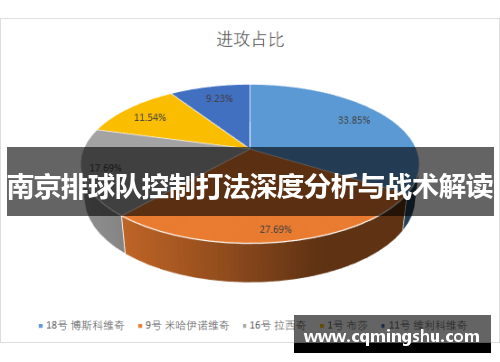 南京排球队控制打法深度分析与战术解读
