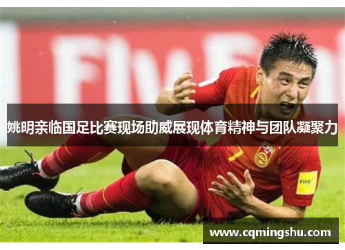 姚明亲临国足比赛现场助威展现体育精神与团队凝聚力