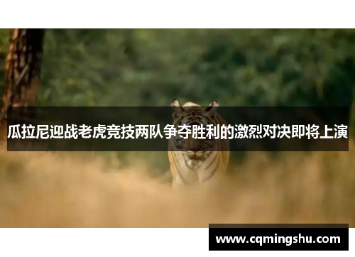 瓜拉尼迎战老虎竞技两队争夺胜利的激烈对决即将上演